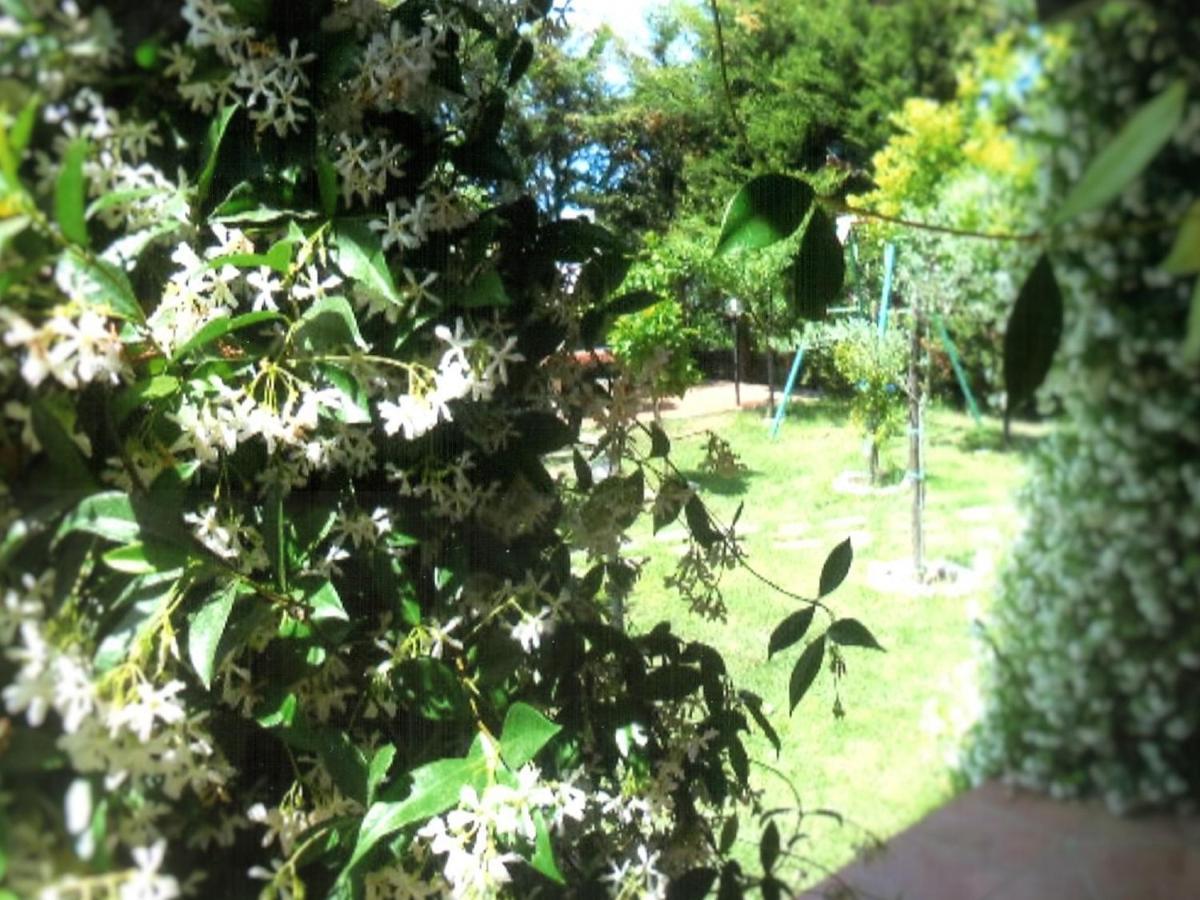 B&B Hibiscus Agropoli Extérieur photo