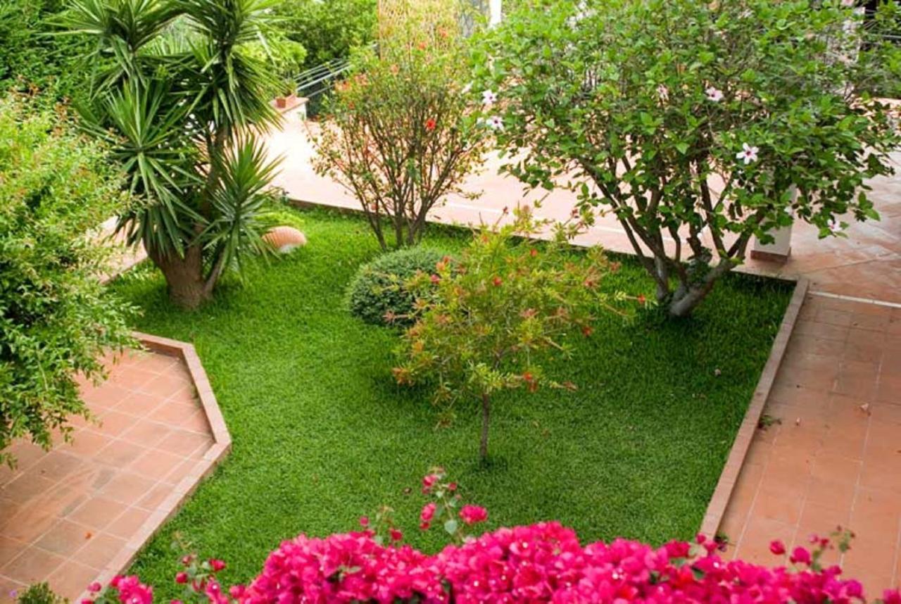 B&B Hibiscus Agropoli Extérieur photo