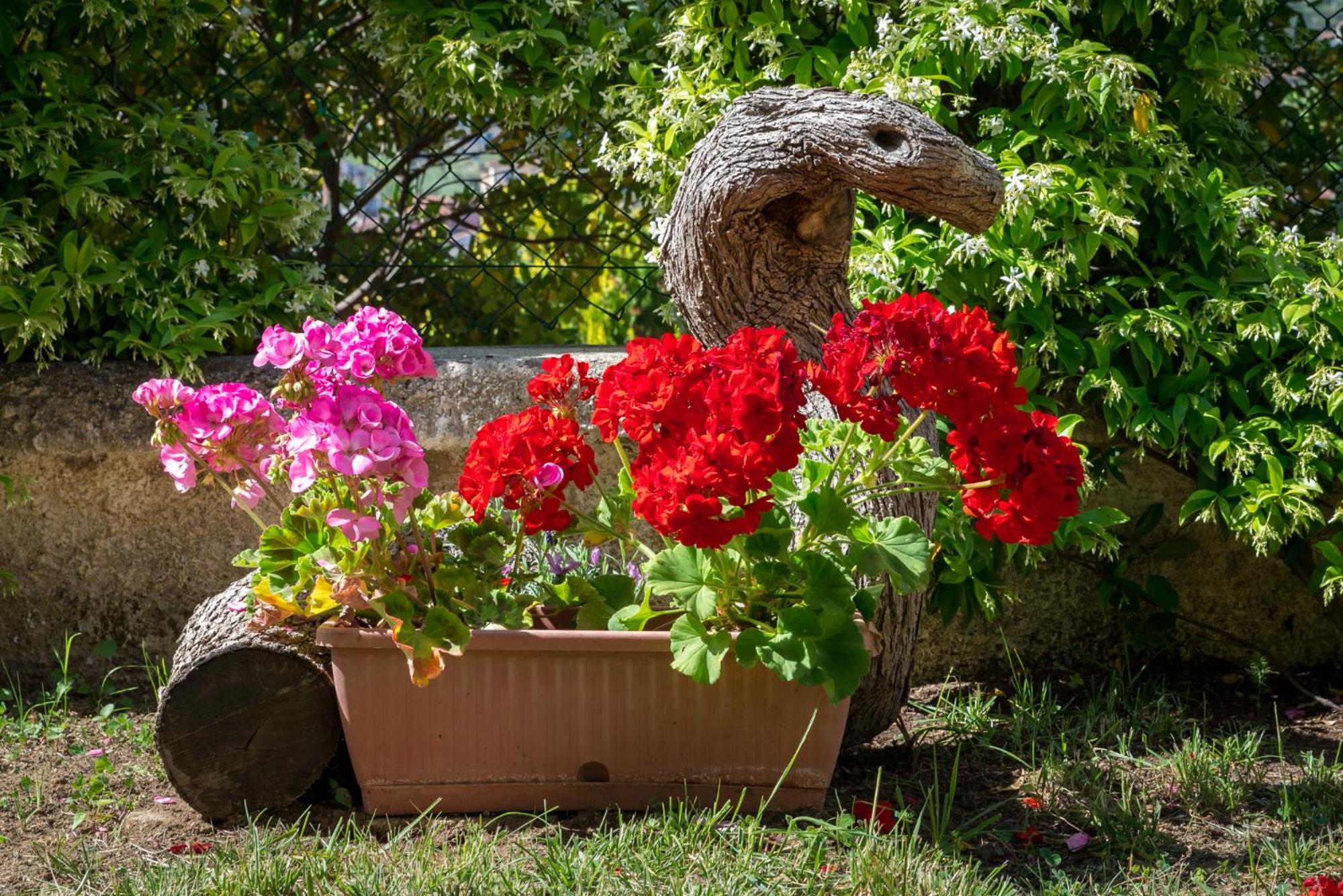 B&B Hibiscus Agropoli Extérieur photo